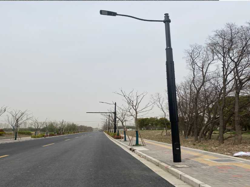 金城江区上海综合杆 太阳能路灯工程